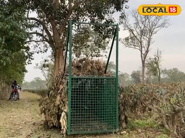 লেপার্ড