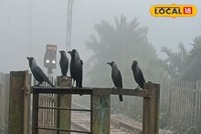 কুয়াশার সঙ্গে মেঘলা আকাশ, রাজ্যের কিছু জেলায় আবহাওয়ার পরিবর্তন