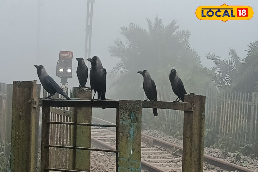 মালদহ: মাঘের শুরুতেই গৌড়বঙ্গের আকাশ মেঘলা। সূর্যের দেখা নেই। কুয়াশায় ঢাকা চারদিক। এদিন জাঁকিয়ে বসেছে শীত। আরও ঠান্ডা বৃদ্ধির সম্ভাবনা।