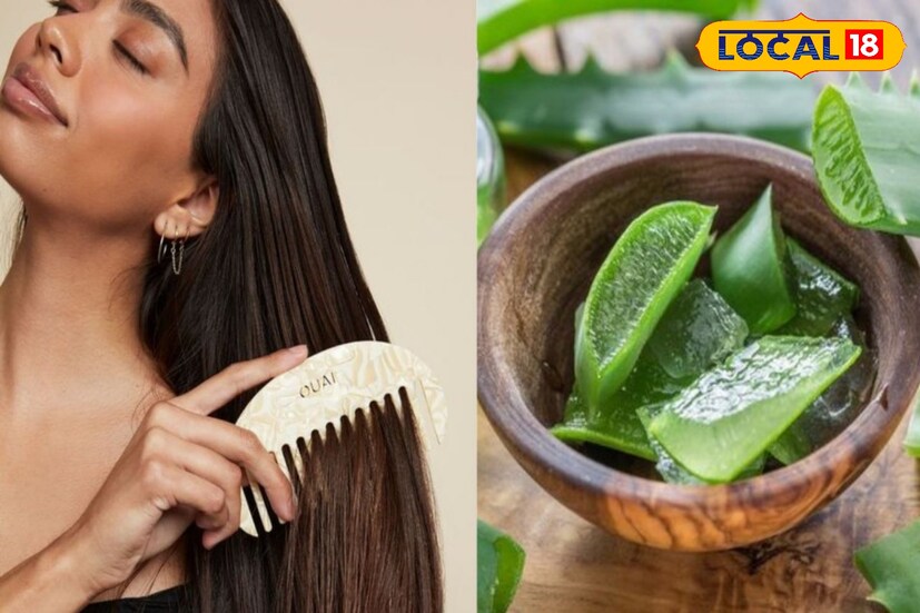 চুলের পক্ষে অ্যালোভেরা অত্যন্ত উপকারী। চুলে অ্যালোভেরা জেল লাগালে শিকড় মজবুত হয়। এই জেলে উপস্থিত অ্যান্টি ফাঙ্গাল ও অ্যান্টিব্যাক্টিরিয়াল উপাদান খুশকির সমস্যা থেকে মুক্তি দেয়।