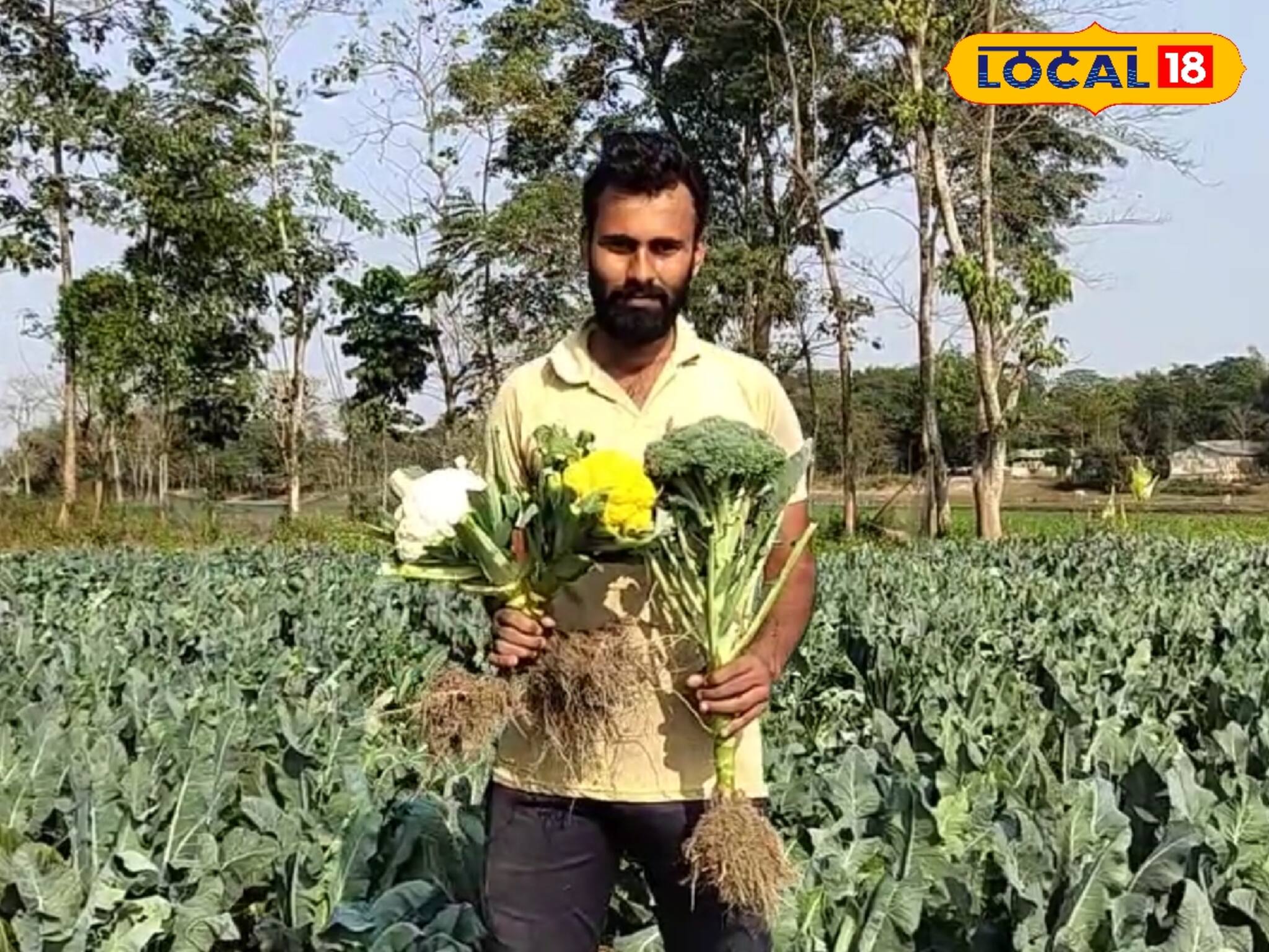 ফুলকপি ও বাঁধাকপির বদলে করুন এই চাষ! মুনাফা পাবেন অনেকটা বেশি