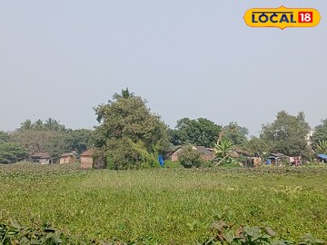 সাঁতরাগাছি