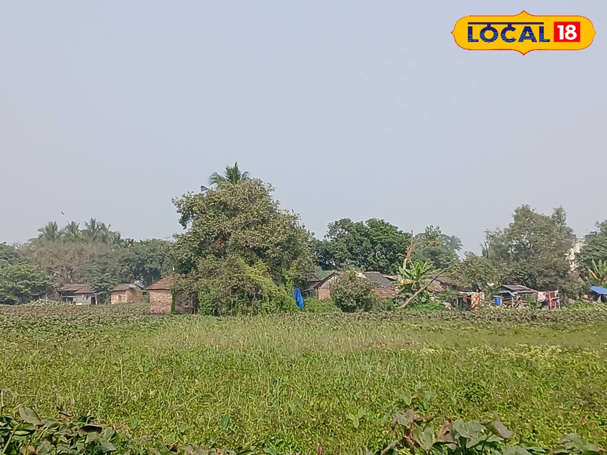 সাঁতরাগাছি ঝিল নিয়ে সামনে এল ভয়ঙ্কর তথ্য