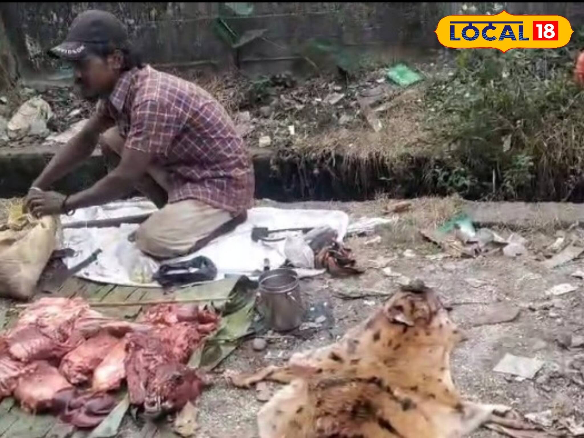 খাসির মাংস নাকি কুকুরের মাংস! জলপাইগুড়ির বাজারে যা ঘটল, শুনে গা ঘিনঘিন করবে!