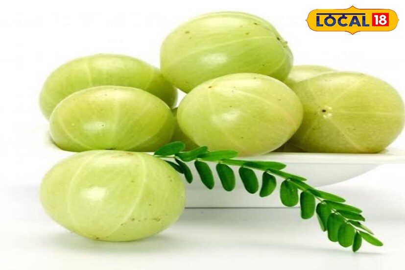 আমলা শুধু চুলের জন্যই ভালো নয় শরীরের রোগ প্রতিরোধ ক্ষমতাও শক্তিশালী করে। একটি সুস্থ শরীর চুলের সঠিক পুষ্টিও প্রদান করে, যা চুলকে সুস্থ ও শক্তিশালী করে তোলে। Photo- Representative