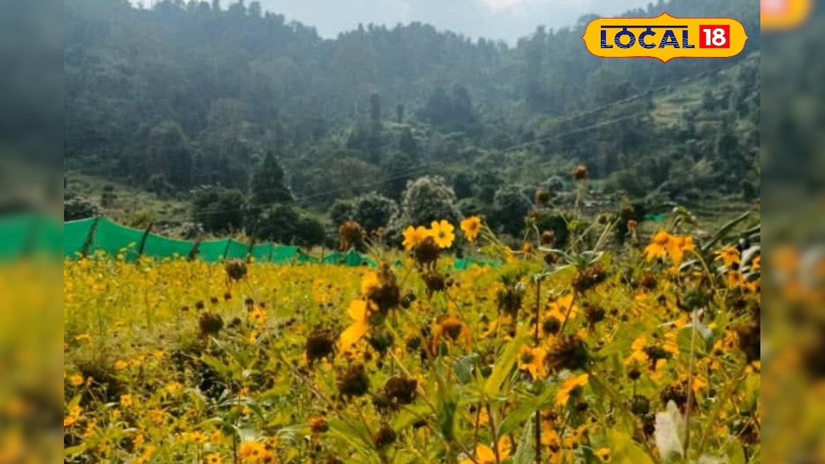 West Bengal tourism: খরা কাটিয়ে জমে উঠেছে ভুটানের পর্যটন! লাভের মুখ দেখছেন পর্যটন ব‍্যবসায়ীরা