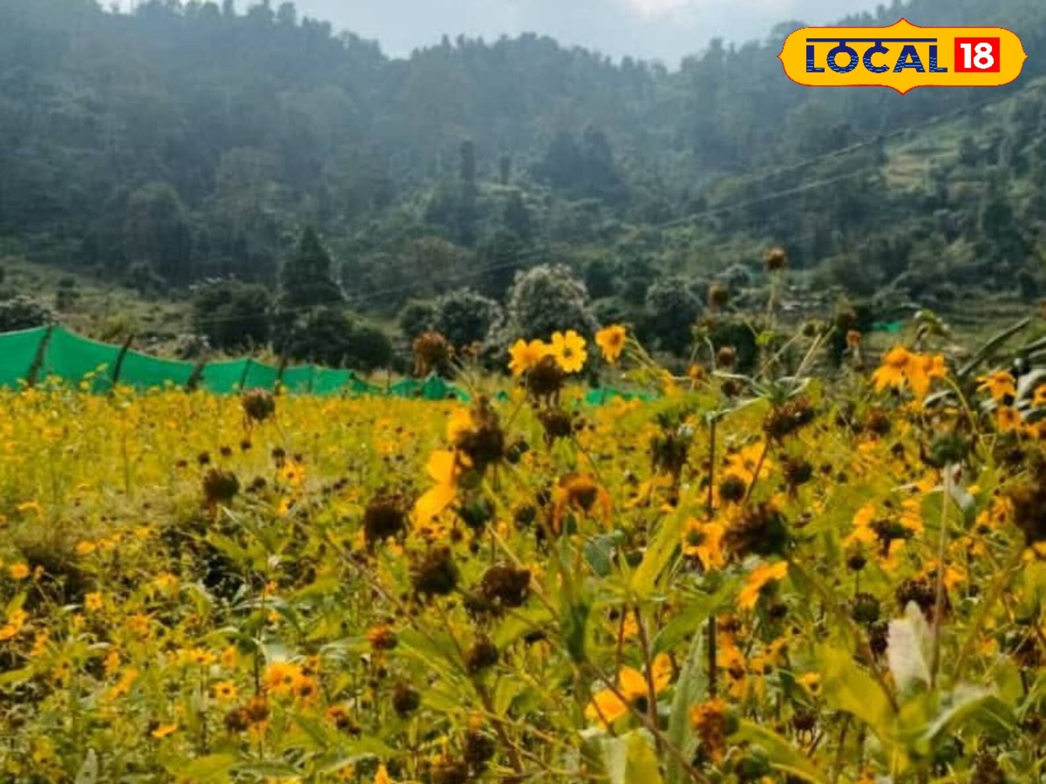 খরা কাটিয়ে জমে উঠেছে ভুটানের পর্যটন! লাভের মুখ দেখছেন পর্যটন ব‍্যবসায়ীরা