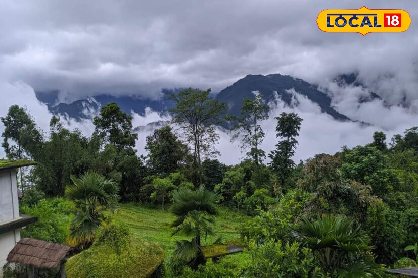 হওয়া অফিসের পূর্বাভাস অনুযায়ী বৃষ্টির পরেই ফের বদলাবে উত্তরের আবহাওয়া, হাড় কাঁপানো ঠান্ডায় কাঁপবে গোটা উত্তরবঙ্গবাসী। চলতি সপ্তাহে ফের ঘন কুয়াশার চাদরে ঢাকবে পাহাড় থেকে সমতল শৈল শহরে হতে পারে তুষারপাত।