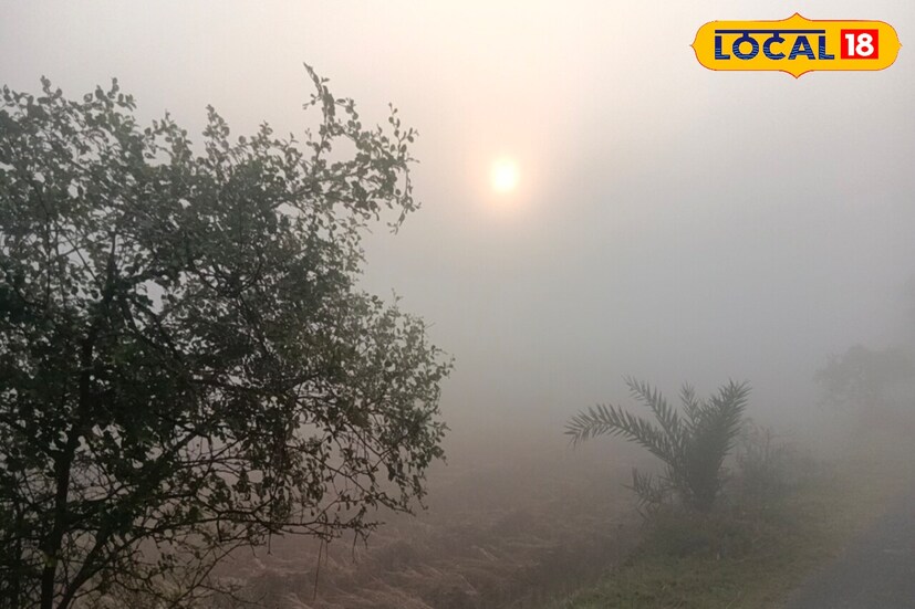 আবহাওয়া দফতর সূত্রে জানা গিয়েছে, বর্তমানে জেলাগুলির সর্বনিম্ন তাপমাত্রা ১৩ ডিগ্রী সেলসিয়াসের আশেপাশে রয়েছে। সর্বোচ্চ তাপমাত্রা ২৪ ডিগ্রি সেলসিয়াস পর্যন্ত ওঠার সম্ভাবনা রয়েছে। আগামীতে আরও তাপমাত্রা কমতে পারে।