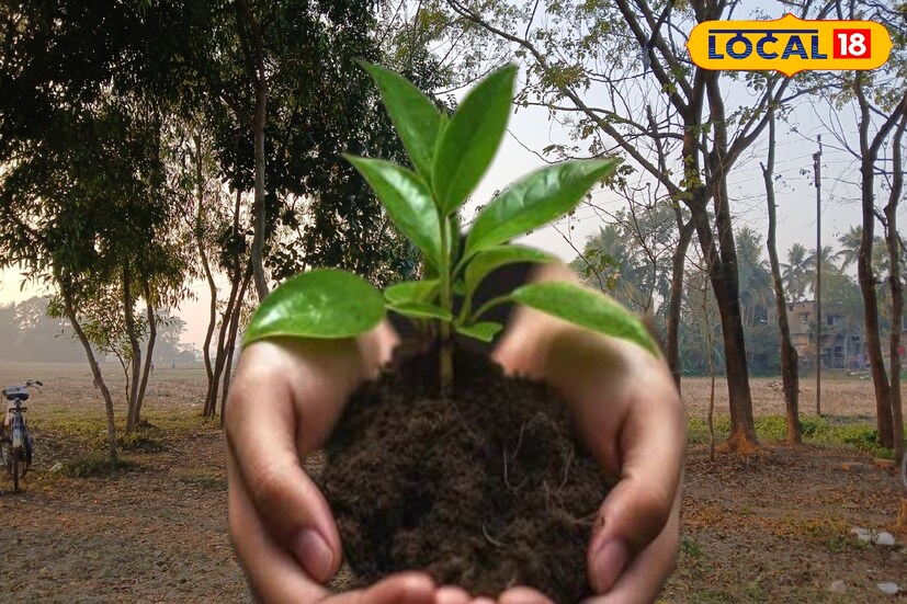 এবার তৃতীয় বর্ষে মাজু প্রিমিয়ার লীগ। প্রতিবছর মানুষের আগ্রহ বেড়েই চলেছে। মাঠে পুরুষদের পাশাপাশি মহিলা দর্শকও দেখা মেলে। গ্রামের মানুষের কাছে এই খেলা মানে উৎসবের মত। বর্তমান সময়ে স্মার্টফোনের আসক্তি থেকে মাঠে ফেরাতে এই উদ্যোগ যেমন দারুণভাবে সাড়া ফেলেছে। তেমনি এবার পরিবেশ রক্ষায় অভিনব উদ্যোগ। ২ ইনিংস মিলিয়ে ১৬ ওভারের খেলায় ফাইনালে যতগুলি ডট বল হবে। প্রতি বল পিছু একটি করে চারা গাছ লাগানোর অঙ্গীকার। এই উদ্যোগকে সাধুবাদ জানিয়েছেন জেলার পরিবেশ কর্মীরা।