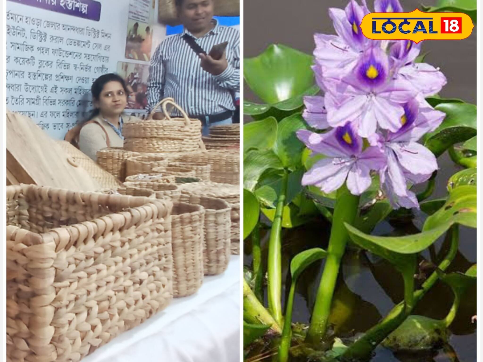 কচুরিপানা এখন শিল্প, তৈরি হচ্ছে এত কিছু! এবার ডিমান্ডও বাড়ছে রাজ্য ছাড়িয়ে বিদেশ