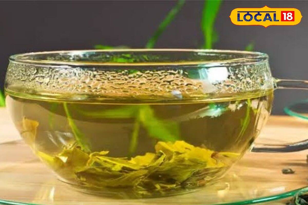 Health Tips: ডায়াবেটিস,কোলেস্টেরল,ওজন কমবে এক-ধাক্কায়, শুধু সকালে খালিপেটে খান এই পাতা ভেজানো জল Health Tips: ডায়াবেটিস,কোলেস্টেরল,ওজন কমবে এক-ধাক্কায়, শুধু সকালে খালিপেটে খান এই পাতা ভেজানো জল