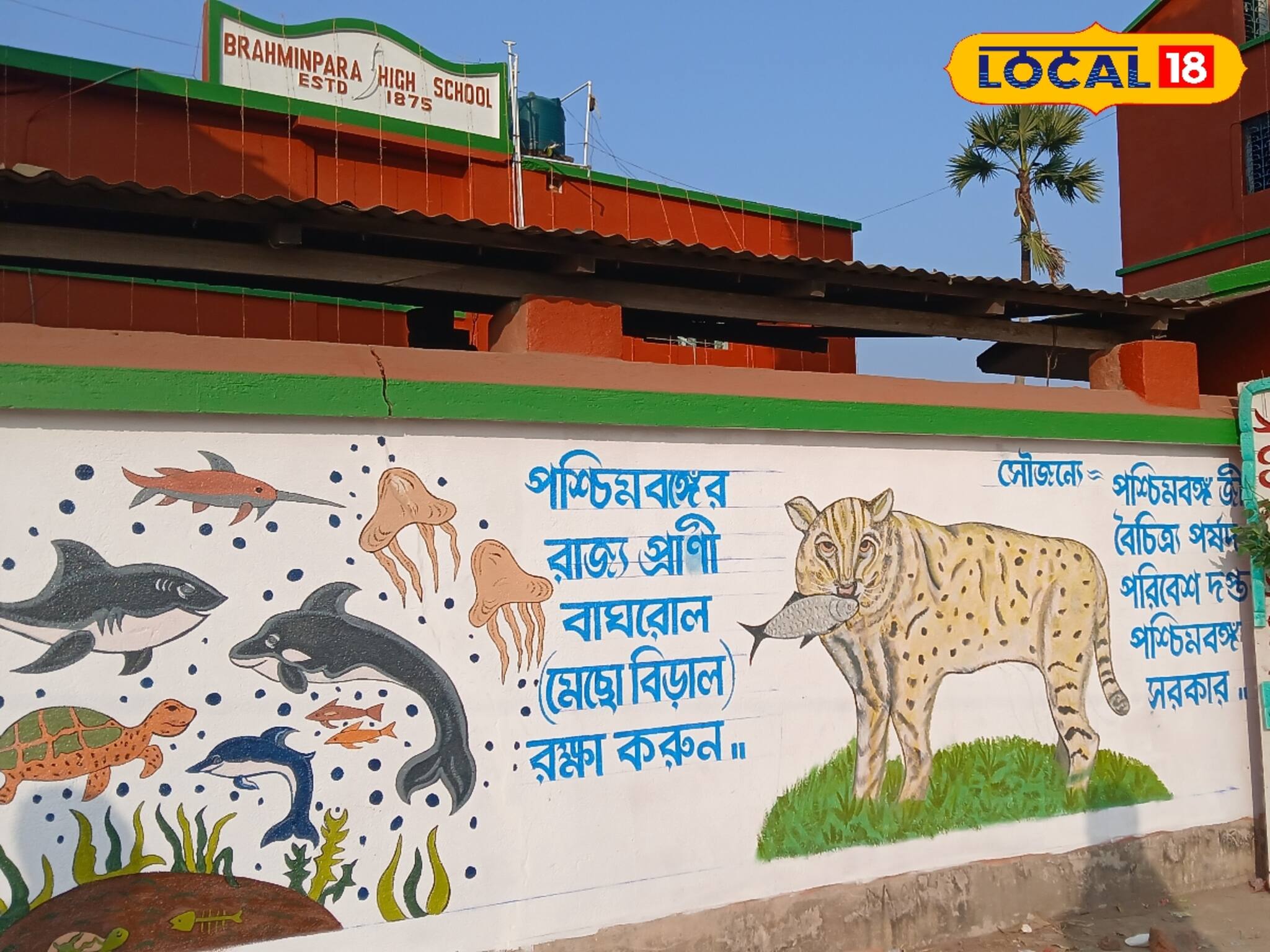 বিদ্যালয়ের দেওয়াল জুড়ে লুপ্তপ্রায় প্রাণীর ছবি জীব বৈচিত্র টিকিয়ে রাখতে বিশে