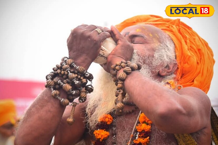 মৌনি অমাবস্যার দিন মকর রাশিতে সূর্য, চন্দ্র এবং বুধ গ্রহের যোগ হবে যার ফলে ত্রিবেণী যোগ তৈরি হবে। এই তিথিতে দেবগুরু বৃহস্পতি তার নবম দৃষ্টি দিয়ে সূর্য, চন্দ্র এবং বুধ গ্রহকে দেখবেন যা নবপঞ্চম যোগ তৈরি করবে। জ্যোতিষবীদ সুদীপ শাস্ত্রি জানাচ্ছেন, চার রাশির জাতকদের উপর প্রভাব ফেলবে মৌনী অমাবস্যা।