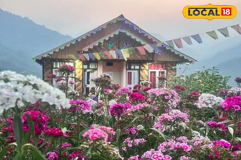 *যারা একটু অচেনা জায়গায় ঘুরতে যেতে চান তার জন্য অপেক্ষা করছে একেবারে অচেনা এই জায়গাটি। দার্জিলিংয়ের খুব কাছেই এই জায়গাটির নাম কোলবং। ছোট্ট একটা পাহাড়ি গ্রাম। কিন্তু তার সৌন্দর্য অপরিসীম। পরিবারকে সঙ্গে নিয়ে বা বন্ধুরা মিলে বেশ জমিয়ে মজা করতে পারবেন এখানে।