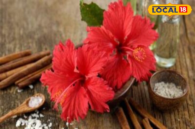 মাথার খুশকি দূর করতে সপ্তাহে তিনদিন মাথার স্ক্যাল্পে নিম তেল ম্যাসাজ করুন। জবা ফুলের নির্যাসও মাথার খুশকি আর চুল কালো করতে দারুণ কাজে আসে।  মাথার খুশকি দূর করতে সপ্তাহে তিনদিন মাথার স্ক্যাল্পে নিম তেল ম্যাসাজ করুন। জবা ফুলের নির্যাসও মাথার খুশকি আর চুল কালো করতে দারুণ কাজে আসে।