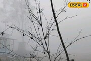 ধূসর পর্দায় অস্পষ্ট চারদিক, ব্যাহত জনজীবন, বৃহস্পতিবার শীত-সকালে ঘিরে ধরে কুয়াশা যখন