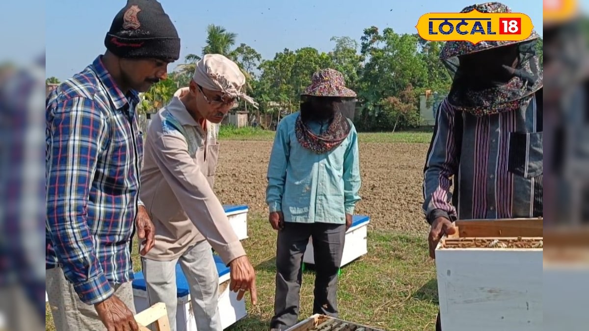 From Jangalmahal to Sundarbans area in training in making best quality honey, এর ফলে একদিকে যেমন উন্নত মানের মধু তৈরি সম্ভব হবে ঠিক তেমনি মধুর বিপুল চাহিদা থাকায় সেই চাহিদা মেটানো সম্ভব হবে বলে মনে করা হচ্ছে।