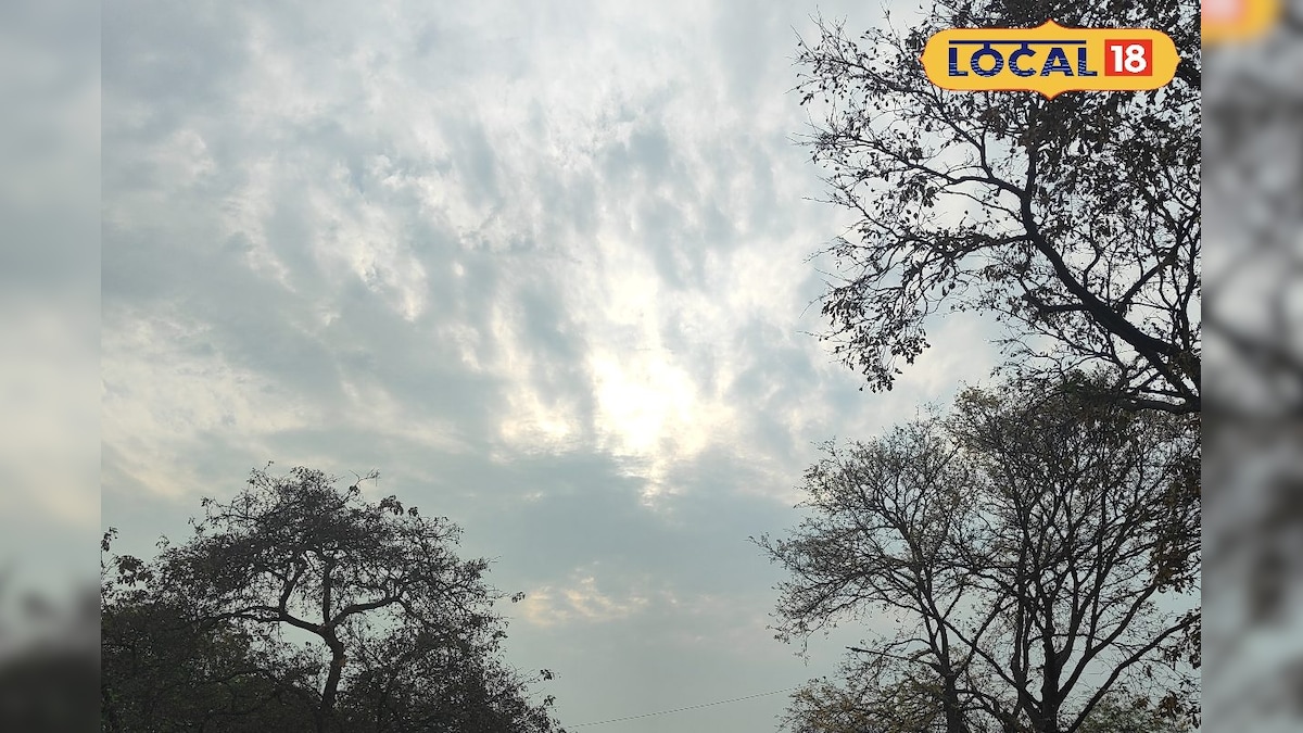 IMD Weather Update: দক্ষিণবঙ্গে আবহাওয়ার বিরাট চমক! বদলে যাবে ২৬ জানুয়ারি থেকেই, জেনে নিন আপডেট