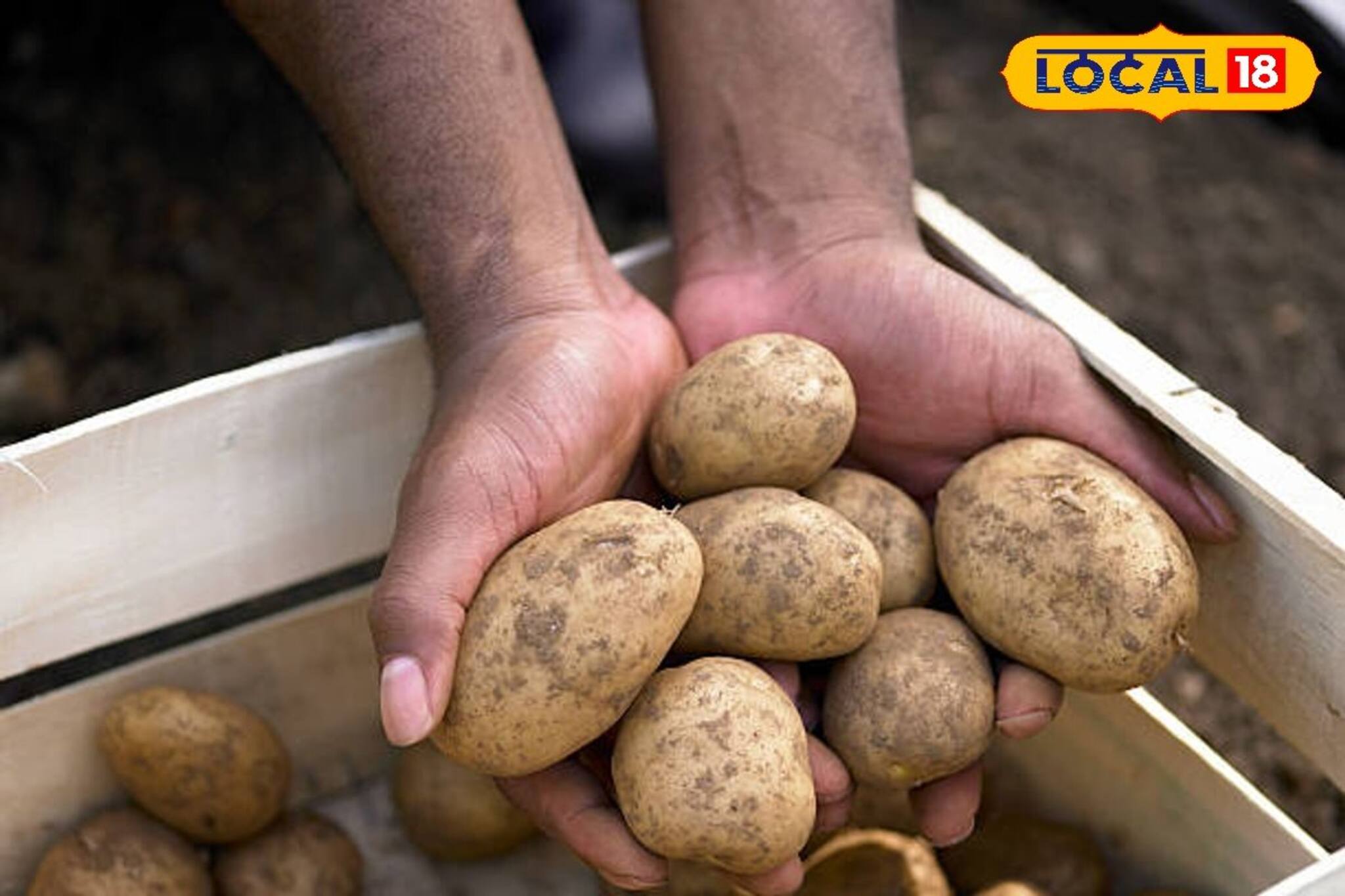 গরম তেল থেকে ফোসকা পড়েছে? রান্নায় নুন বেশি হয়েছে? সব মুশকিল দূর করবে এক টুকরো আলু