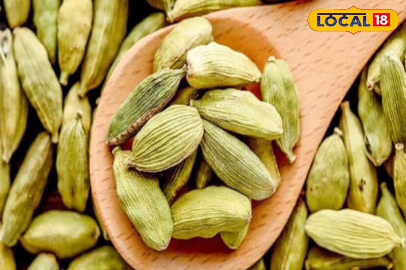 এলাচ সুগার কমায়, সুগারের রোগীদের জন্য মহা সমাধান এলাচ। এলাচ রক্তের গ্লুকোজ অর্থাৎ শর্করার পরিমাণকে কমাতে সাহায্য করে। 