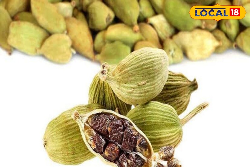 মুখের মধ্যে দুর্গন্ধ হয় ব্যাকটেরিয়ার দোষে। এদিকে এলাচের মধ্যে অ্যান্টিব্যাকটেরিয়াল গুণ রয়েছে। এই গুণ মুখের দুর্গন্ধ দূর করতে সাহায্য করে। 