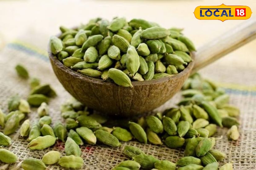 উপকারিতা আছে বলেই খুব বেশি খাওয়া যাবে না এলাচ। ঠিক তেমনই এলাচের পরিমাণ মেপে খেতে হবে। রোজ ৩-৪ গ্রামের বেশি এলাচ না খাওয়াই ভাল। 