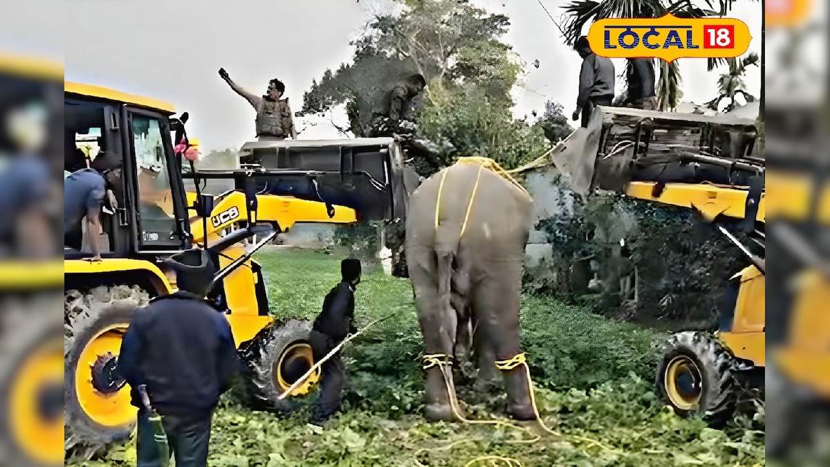 Locals of mathabganga subdivision are terrified by the repeated attacks of wild animals