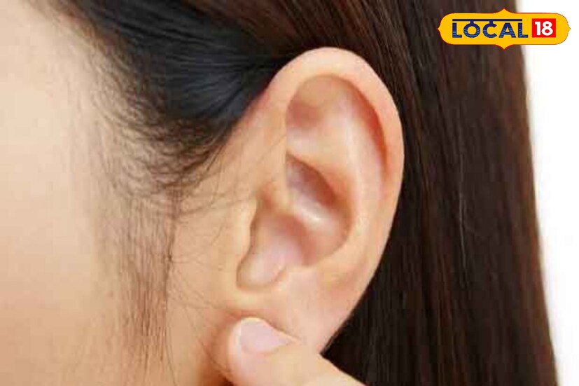 কান পরিষ্কার রাখতে, কানের দৃশ্যমান অংশ এবং কানের পিছনে সামান্য সাবান দিয়ে ধুয়ে ফেলতে হবে। তারপরে সাবানটি ধুয়ে আঙুল দিয়ে মুছে ফেলে এবং একটি পাতলা তোয়ালে দিয়ে মুছে শুকিয়ে নিলেই কান হবে পরিষ্কার।