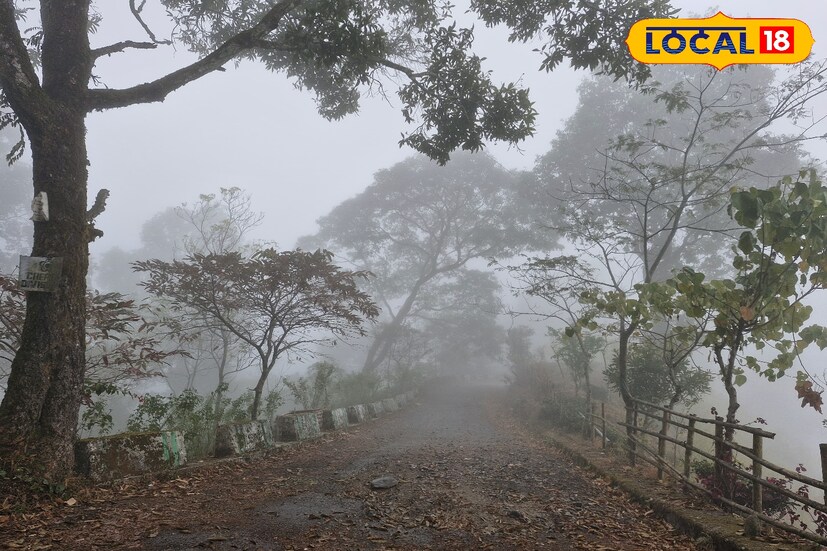 চারিদিকে ঘন কুয়াশা মেঘে ঢাকা আকাশ সঙ্গে চলছে ঠান্ডা ফুরফুরে হাওয়া।জাকিয়ে শীতে নাজেহাল উত্তরবঙ্গবাসী। দিন গড়ানোর সাথে সাথে ফের বৃষ্টির পূর্বাভাস শৈল শহরে।