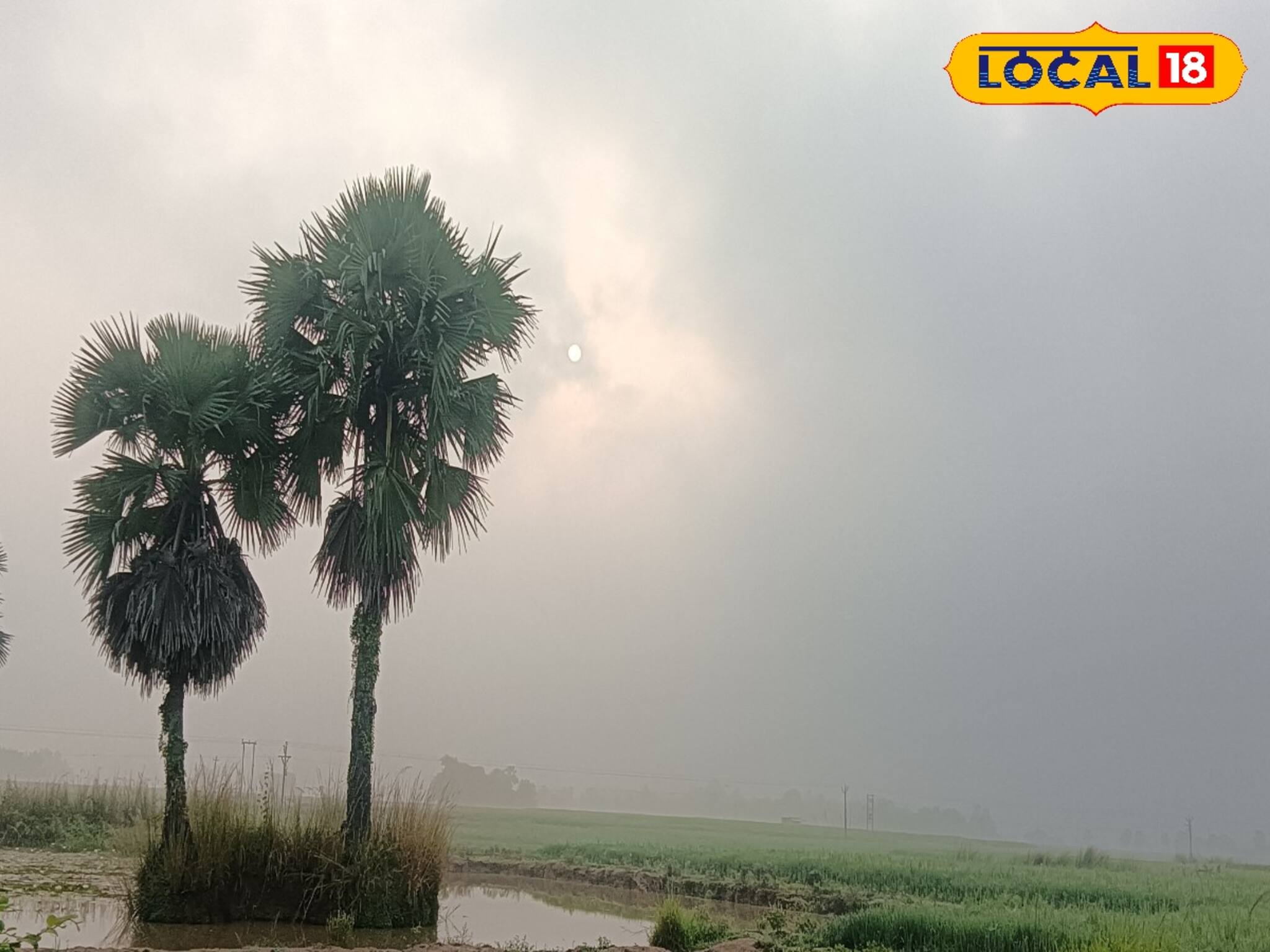 কুয়াশামাখা ভোরের পরই হাড়কাঁপানো ঠান্ডা? সরস্বতী পুজোয় কেমন থাকবে দক্ষিণবঙ্গের আবহাওয়া?