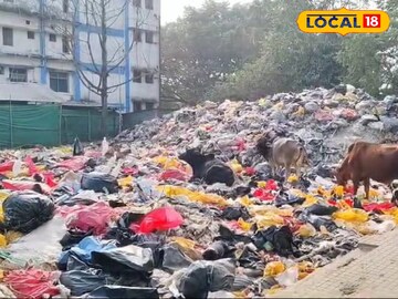 আবর্জনা 