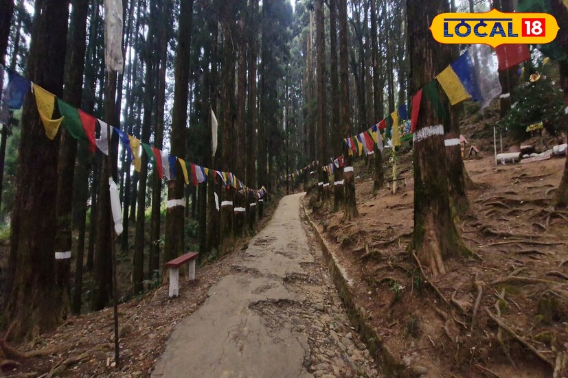 *মঙ্গলবার সকাল থেকেই ঘন কুয়াশা মেঘে ঢাকা আকাশ সঙ্গে কনকনে ঠান্ডা হাওয়া শৈলশহর দার্জিলিংয়ে। ইতিমধ্যেই ফের জারি বৃষ্টির পূর্বাভাস, একদিকে ঘন কুয়াশা অন্যদিকে বৃষ্টি সবমিলিয়ে উত্তরের পাঁচ জেলাতেই জমজমাটি শীতের আমেজ। জায়গায় জায়গায় জারি ঘন কুয়াশার অ্যালার্ট।