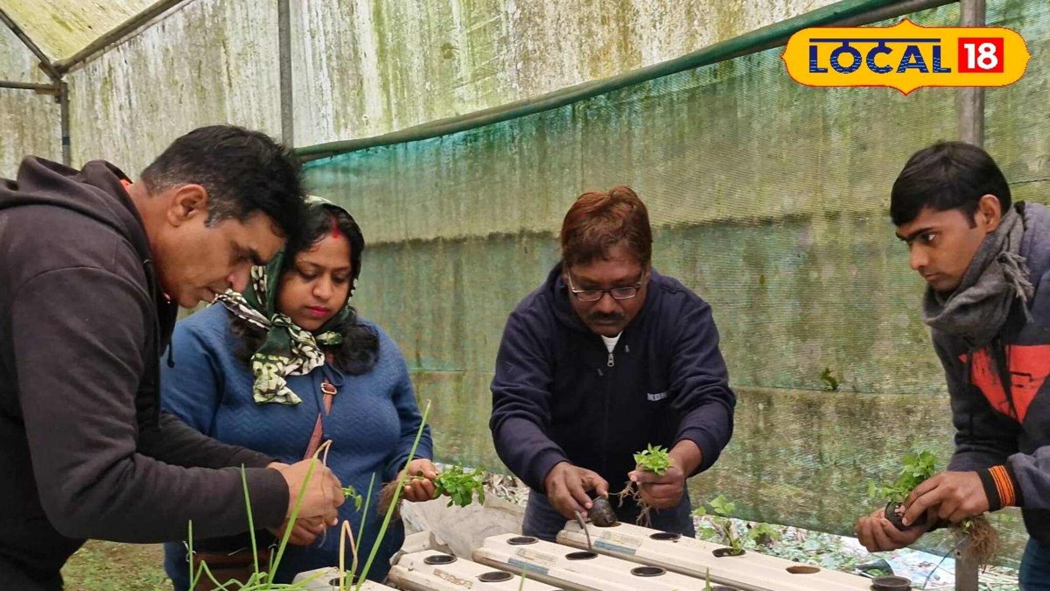 মাটি ছাড়াই চাষ হচ্ছে বিভিন্ন ধরনের সবুজ শাকসবজি! অবাক করা কাণ্ড জানলে চমকে যাবেন