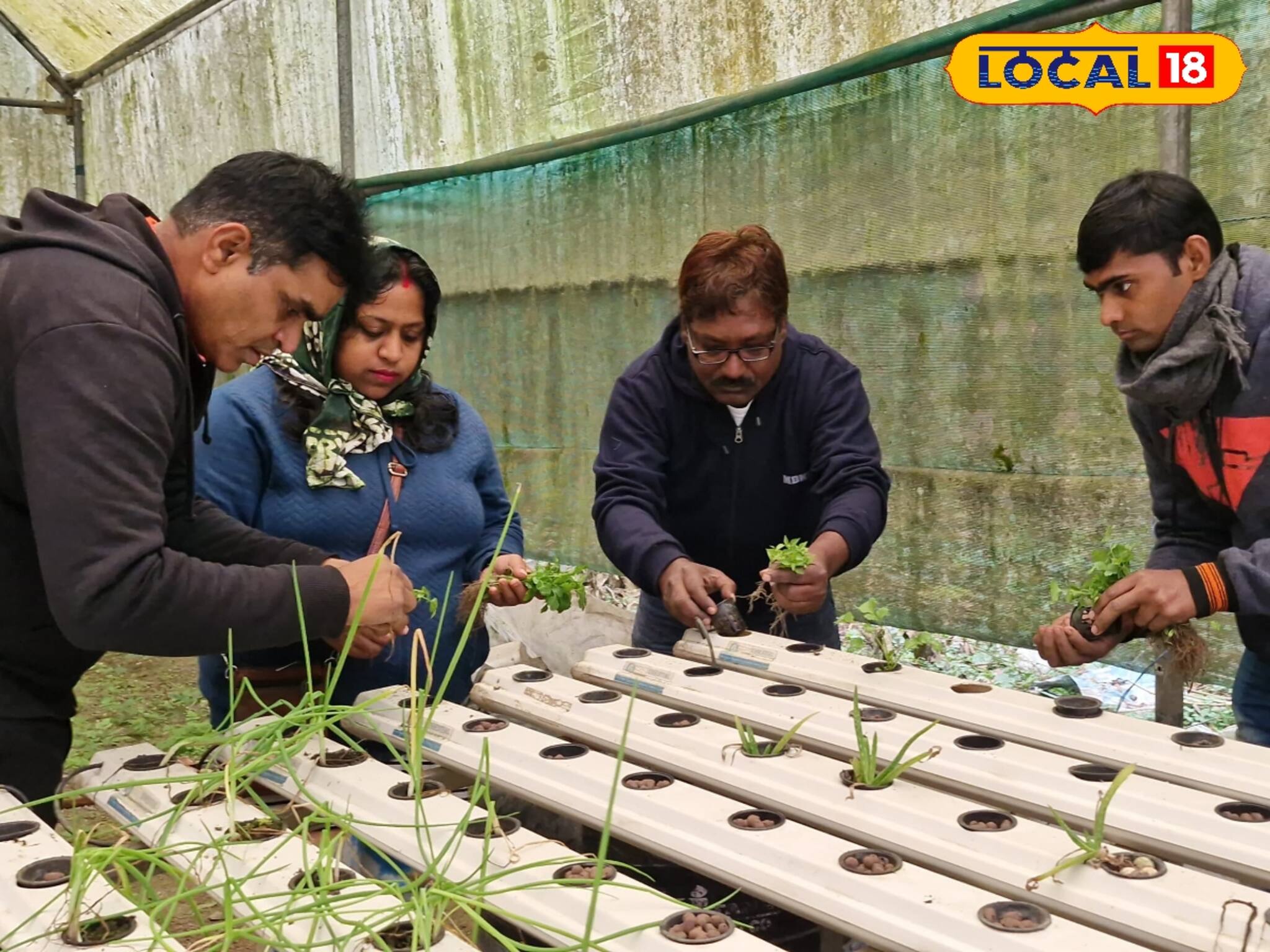 মাটি ছাড়াই চাষ হচ্ছে বিভিন্ন ধরনের সবুজ শাকসবজি! অবাক করা কাণ্ড জানলে চমকে যাবেন