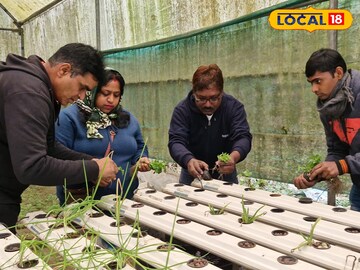 হাইড্রোপনিক হাইড্রোপনিক