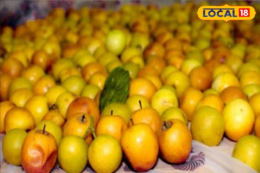 কুল বুড়িয়ে যাওয়া ঠেকায়। বয়সের ছাপ পড়তে বাধা দেয় শরীরে। ত্বকের রুক্ষতা দূর করে ত্বককে কোমল করে সহজেই। রোদে পোড়া ত্বক সুরক্ষার কাজেও কার্যকর। ত্বক উজ্জ্বল করে তোলে বেশ অনেকটাই। 