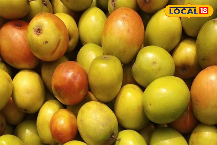 কুল এমন এক ফল যা একটি রক্ত বিশুদ্ধকারক। উচ্চরক্তচাপ ও ডায়াবেটিস রোগীদের জন্য টক কুল উপকারী ফল। ডায়রিয়া, রক্তশূন্যতা, ব্রঙ্কাইটিস ইত্যাদি রোগ নিরাময়ে কাজ দেয় এই ফল। কুল এমন এক ফল যা একটি রক্ত বিশুদ্ধকারক। উচ্চরক্তচাপ ও ডায়াবেটিস রোগীদের জন্য টক কুল উপকারী ফল। ডায়রিয়া, রক্তশূন্যতা, ব্রঙ্কাইটিস ইত্যাদি রোগ নিরাময়ে কাজ দেয় এই ফল।