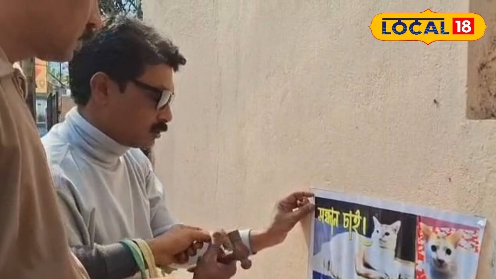 'টমু কোথায়'? শহর ছয়লাপ পোস্টারে! নিখোঁজ পোষ্য বিড়ালের সন্ধানে নাওয়াখাওয়া ভুলেছেন দম্পতি