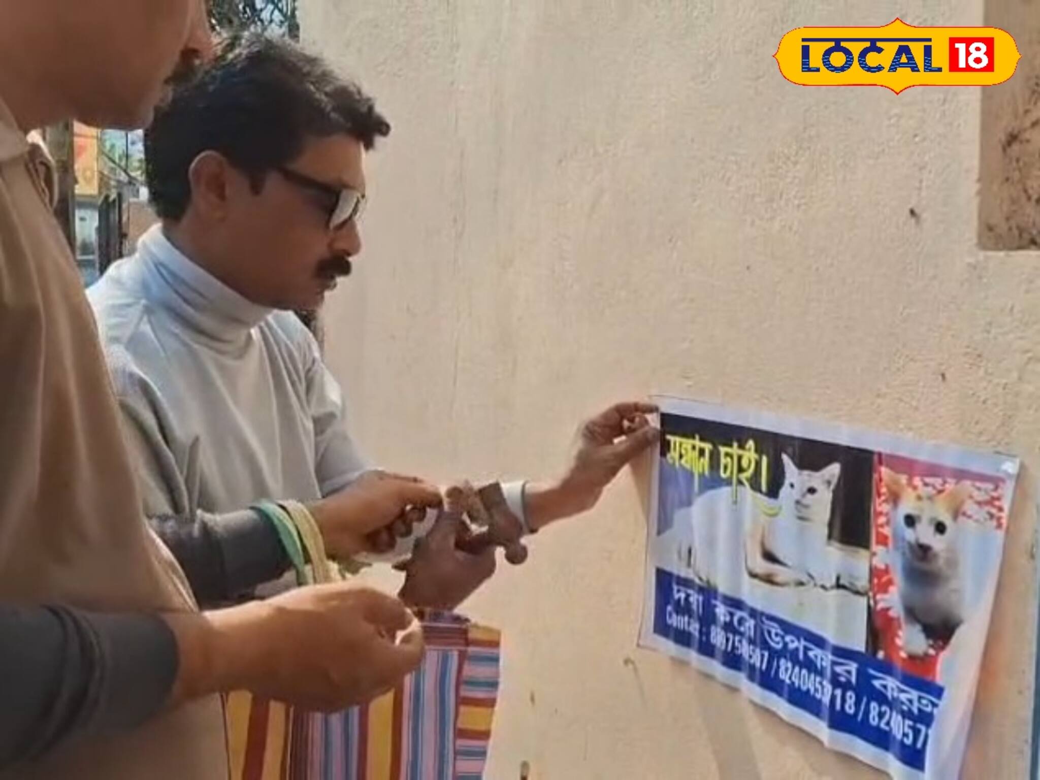 'টমু কোথায়'? শহর ছয়লাপ পোস্টারে! নিখোঁজ পোষ্য বিড়ালের সন্ধানে নাওয়াখাওয়া ভুলেছেন দম্পতি