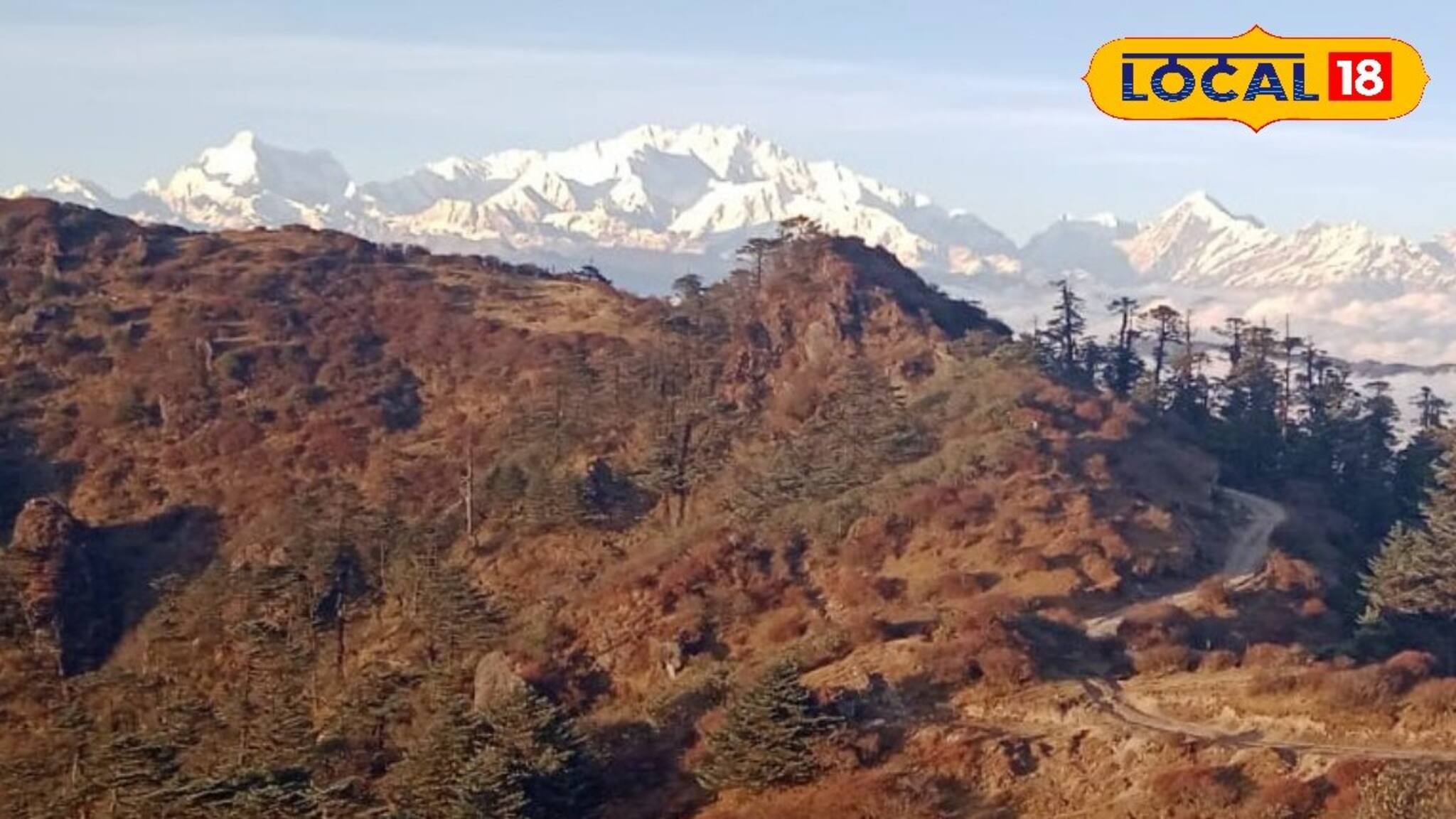 ইয়েলো অ্যালার্ট জারি জেলায় জেলায়, কুয়াশায় মোড়া এলাকা, ফের ঠান্ডার ঝাপট