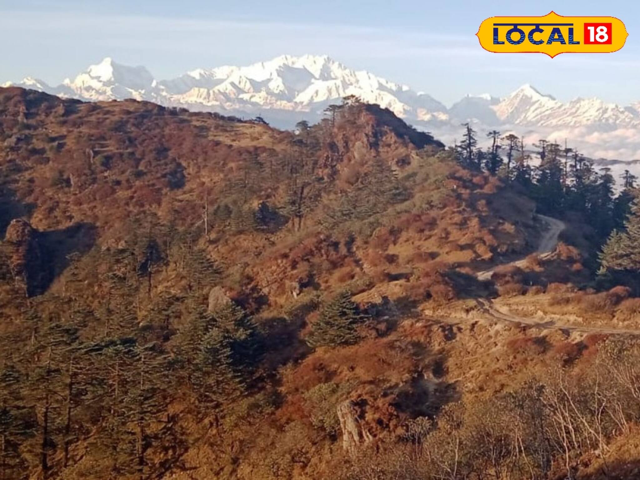 ইয়েলো অ্যালার্ট জারি জেলায় জেলায়, কুয়াশায় মোড়া এলাকা, ফের ঠান্ডার ঝাপট