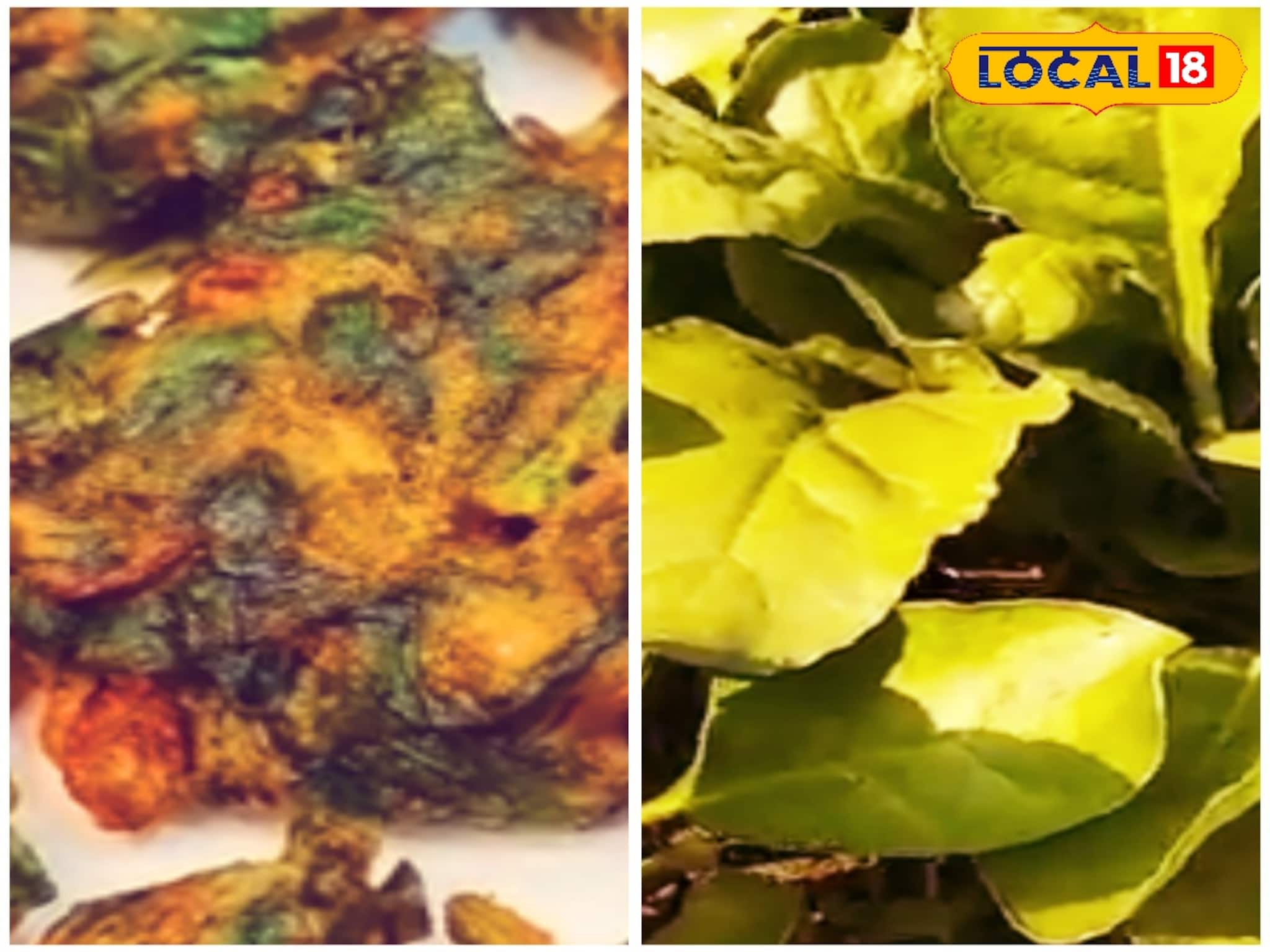 ঘন্ট বা পালং পনির অনেক খেলেন এবার কুড়মুড়ে পালং পকোড়া খান! শীতের সন্ধে জমে ‌যাবে