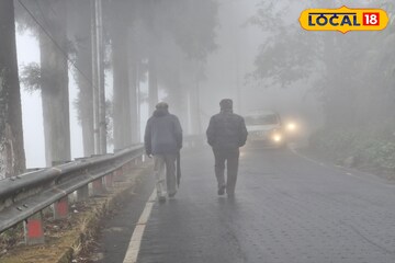 রোদের দেখা নেই, ঘন কুয়াশায় কাঁপছে পাহাড়! ঠান্ডা সঙ্গে বৃষ্টির পূর্বাভাস শৈল শহরে রোদের দেখা নেই, ঘন কুয়াশায় কাঁপছে পাহাড়! ঠান্ডা সঙ্গে বৃষ্টির পূর্বাভাস শৈল শহরে