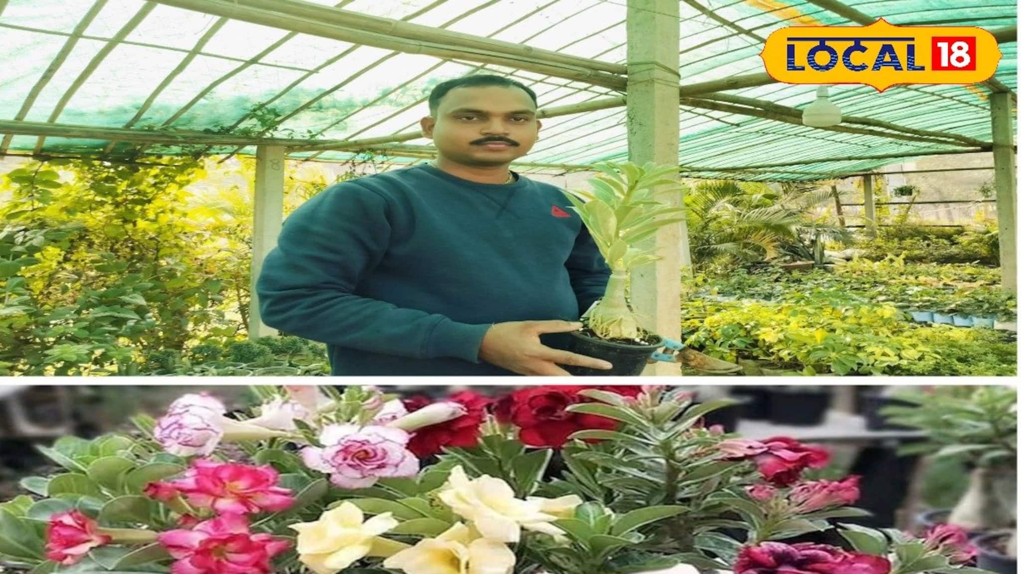 এই ফুল গাছ থেকে বছরে সহজেই আয় করতে পারবেন কয়েক লক্ষ টাকা