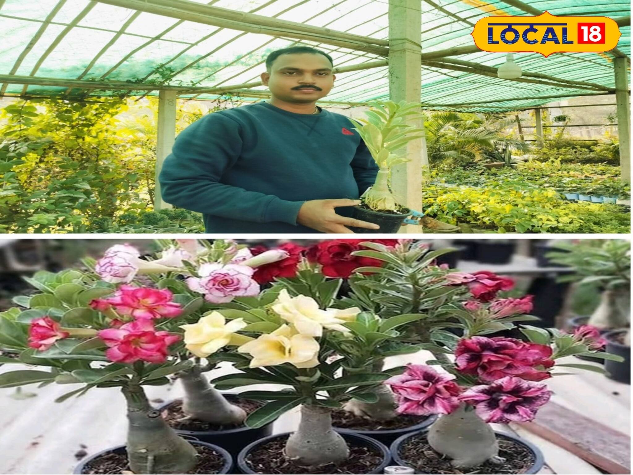 এই ফুল গাছ থেকে বছরে সহজেই আয় করতে পারবেন কয়েক লক্ষ টাকা