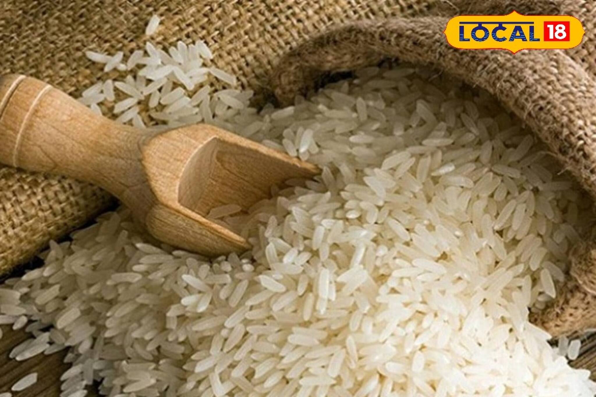 বাড়িতে চাল রাখলে ক’দিনেই পোকার ছড়াছড়ি? ৫ কৌশল মেনে চললে আর ভোগান্তি হবে না