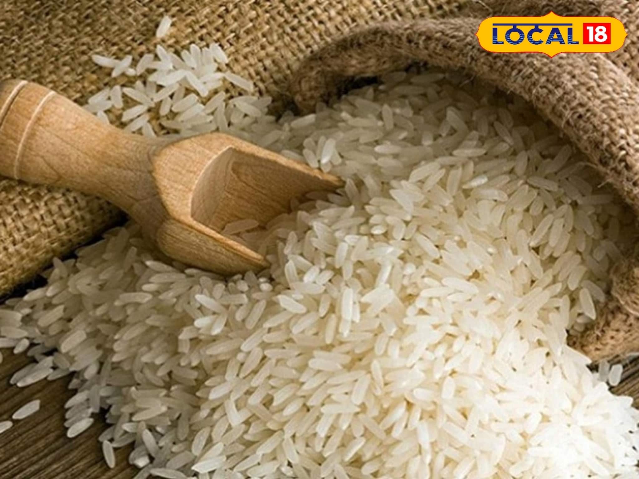 বাড়িতে চাল রাখলে ক’দিনেই পোকার ছড়াছড়ি? ৫ কৌশল মেনে চললে আর ভোগান্তি হবে না