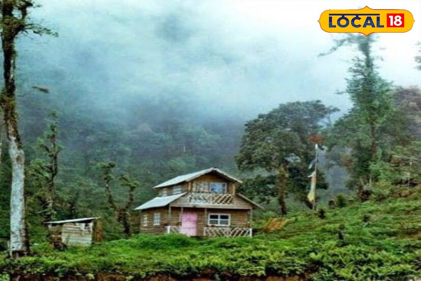শুক্রবার সকাল থেকেই ঘন কুয়াশার চাদরে মুড়েছে পাহাড়।শীতের মাঝেও বৃষ্টির হাত থেকে রেহাই নেই। একদিকে ঘন কুয়াশা অন্যদিকে বৃষ্টি সবমিলিয়ে উত্তরের পাঁচ জেলাতেই জমজমাটি শীতের আমেজ। তবে সরস্বতী পুজোর দিন থেকেই বিদায় নিতে পারে শীত।