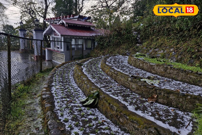 হাওয়া অফিসের পূর্বাভাস অনুযায়ী আগামী কয়েকদিন ঠান্ডায় কাঁপবে গোটা উত্তরবঙ্গবাসী। ঘন কুয়াশার এলার্টের পাশাপাশি শৈল শহরে তুষারপাতের সম্ভাবনা। সব মিলিয়ে ফের একবার বাহারি মুডে খেল দেখাবে উত্তরের আবহাওয়া।